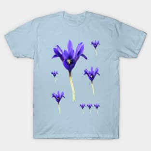 Iris  &#39;Palm Springs&#39;  Reticulata T-Shirt